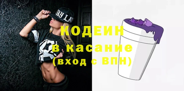 индика Армянск