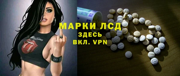 индика Армянск