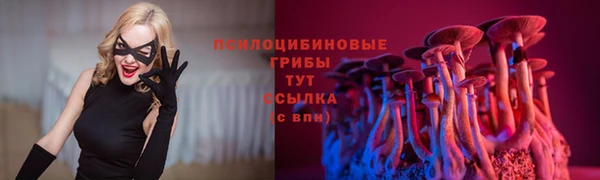 тгк Балабаново