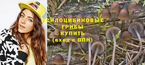 первитин Арсеньев